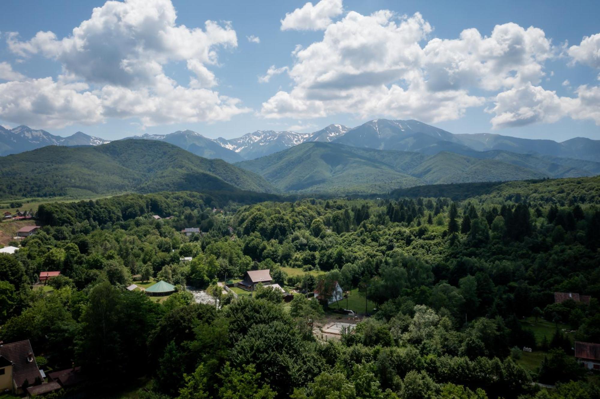 Evergreen Chalet アヴリグ エクステリア 写真